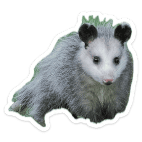 :theposs: