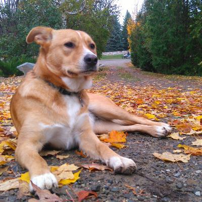 paulbusch@cosocial.ca