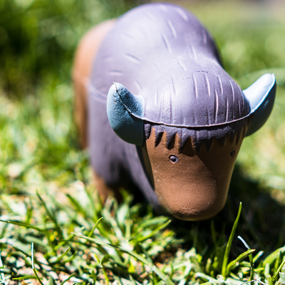 LindsayBison