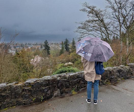 Under a dark rainy sky, a person (apparently a tourist) stands at a viewpoint looking out over Vancouver, under the shelter of an mauve umbrella with floral decorations.