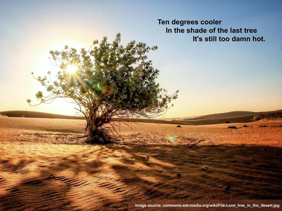 a lone tree in full sun casts a shadow on sandy soil, overlaid with haiku:

Ten degrees cooler
In the shade of the last tree
It's still too damn hot.

Image source: commons.wikimedia.org/wiki/File:Lone_tree_in_the_desert.jpg