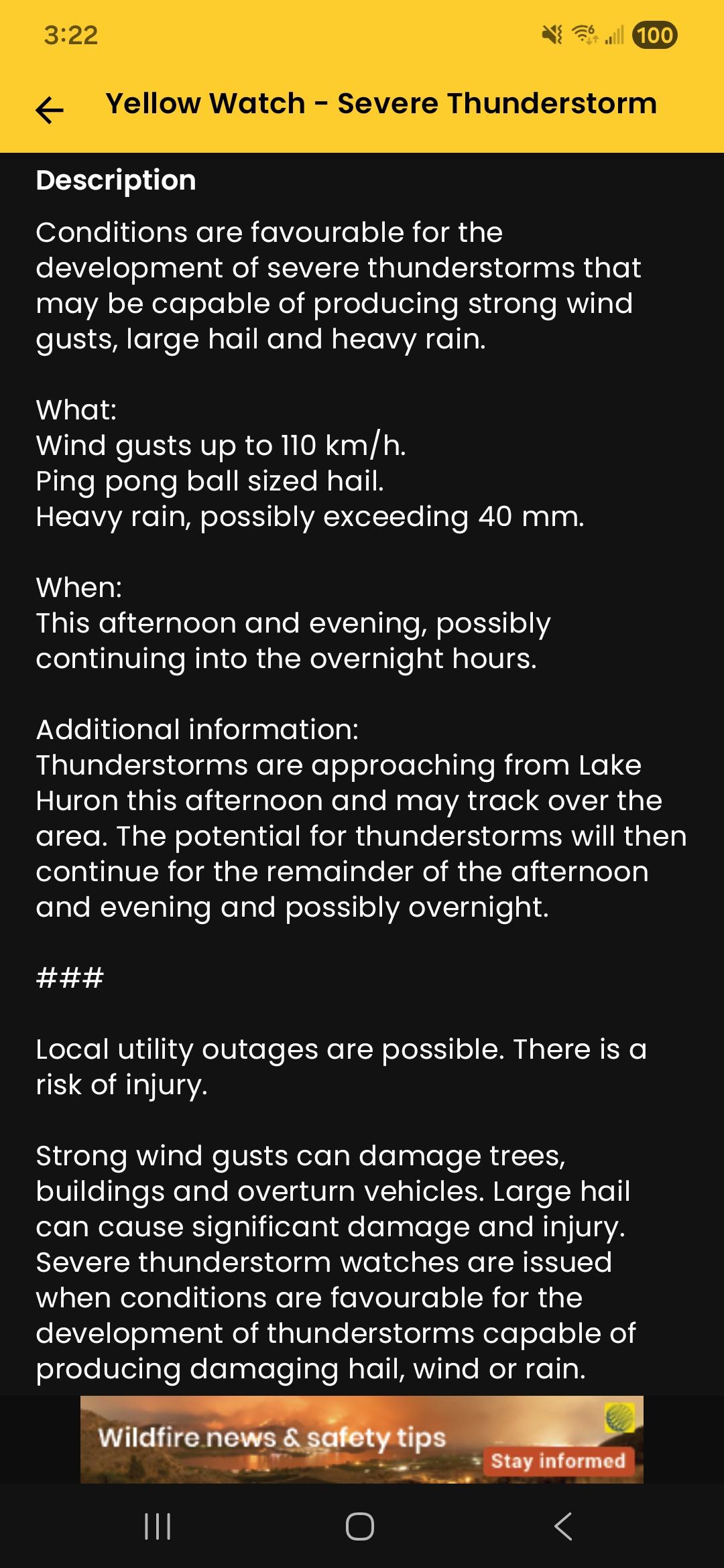 A screenshot of a weather alert that warns about possible thunderstorms in our area. It includes the sentence "Conditions are favorable for the development of thunderstorms that may produce strong winds and ping pong ball sized hail stones".