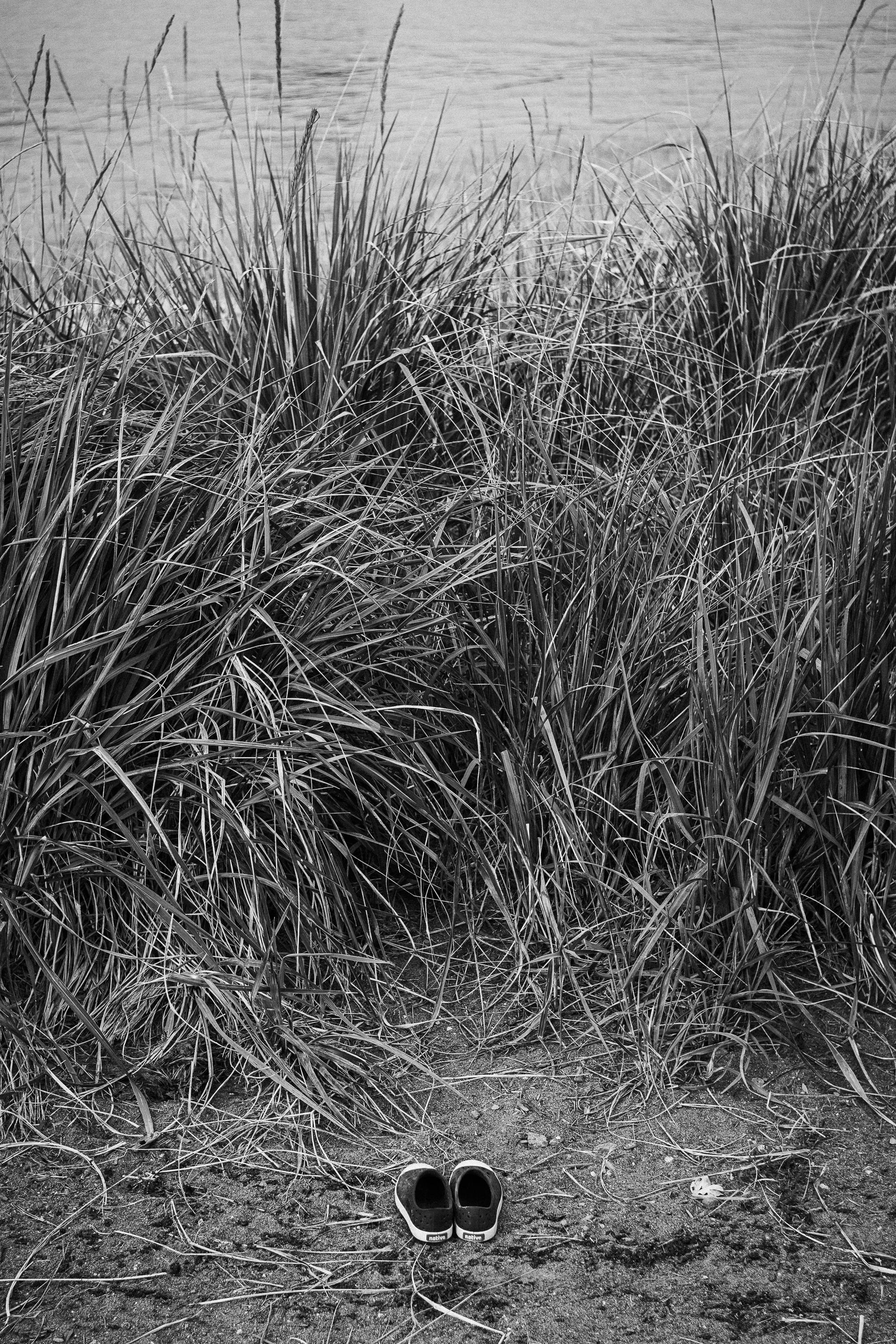 A pair of small shoes placed neatly in the sand at the base of a dense stand of tall marsh grass. Water is visible behind the reeds.
