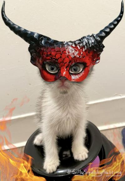 Original alt txt: Clove, a small calico kitten, with wide eyes
My addition: Clove is now wearing a bold red and black demon mask, covering the top part of their head, big black horns reaching the top corners of the photo. The mask has large eye holes cut in it, and the kitten stares wildly at you. I've added some flames at the bottom of the screen, for atmosphere.