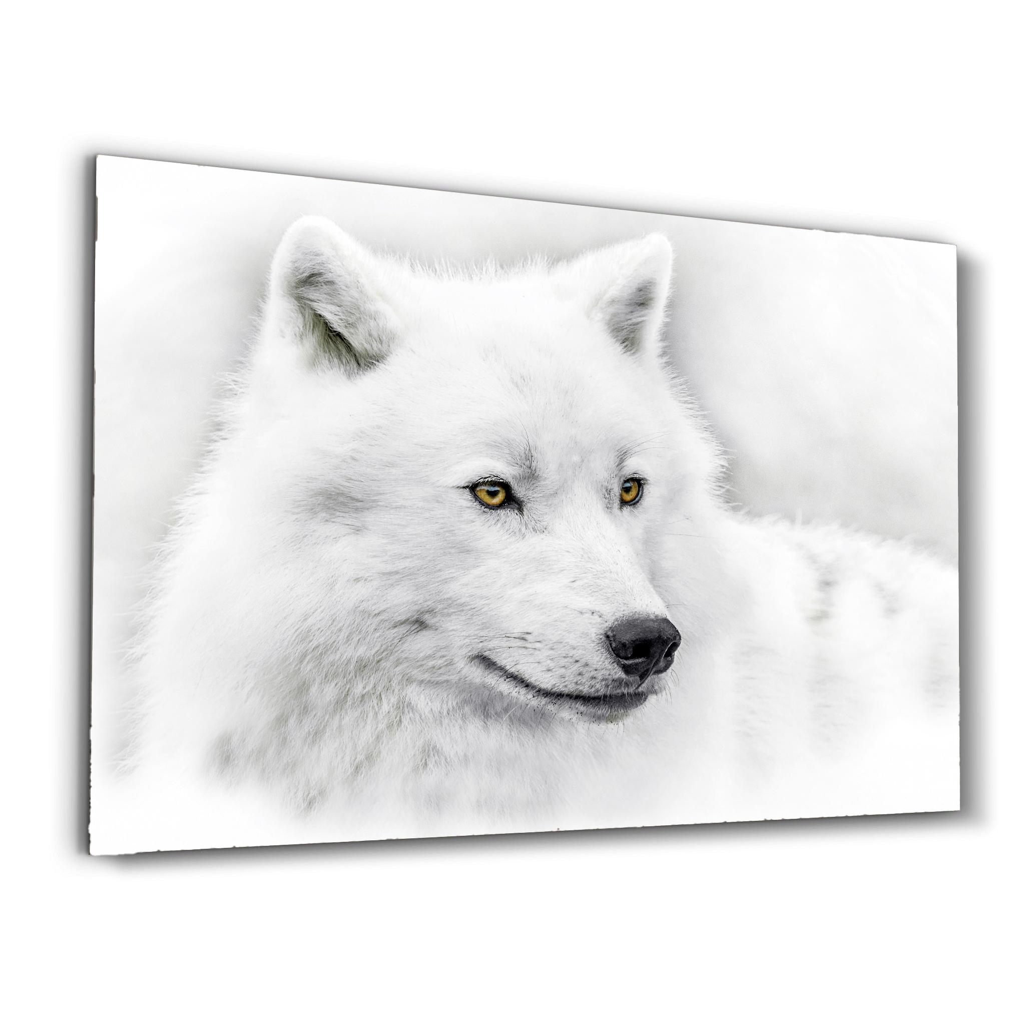 Le Regard