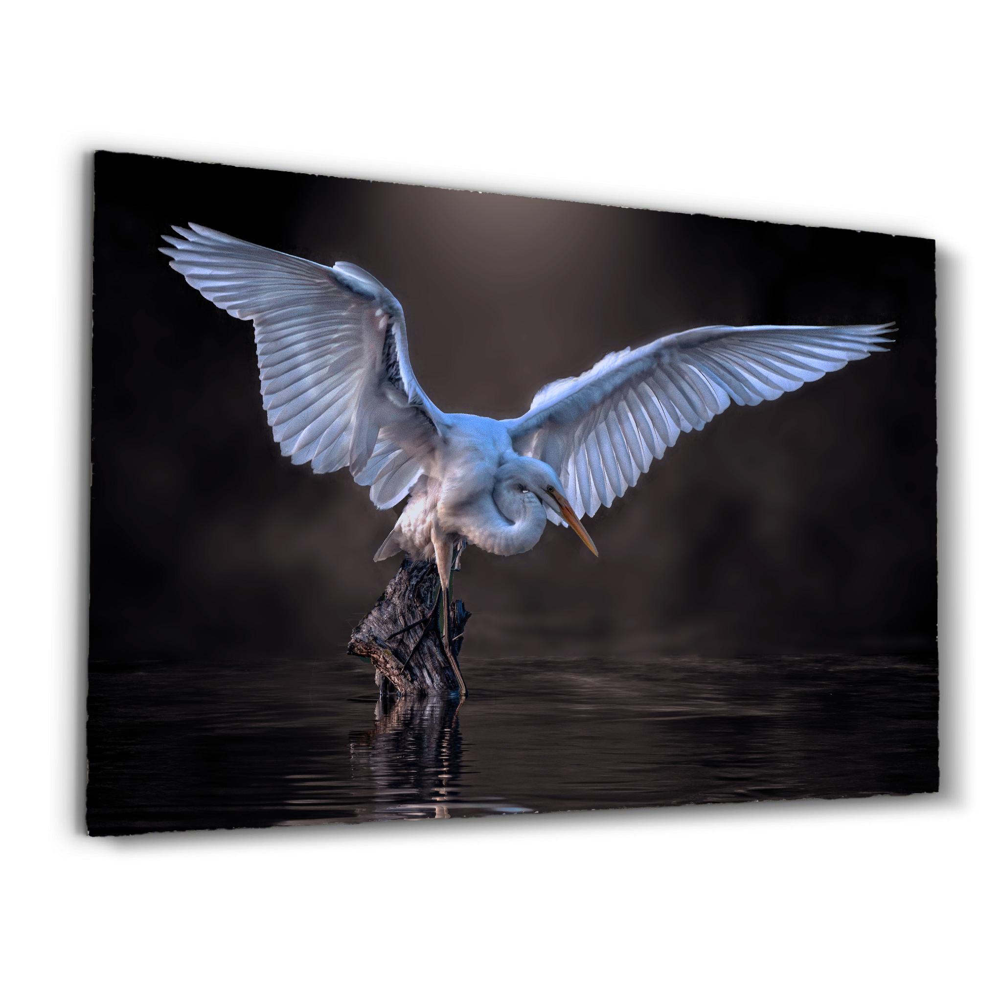 L' Aigrette
